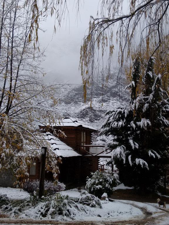 波特雷里约斯Mendoza Sol Y Nieve别墅 外观 照片